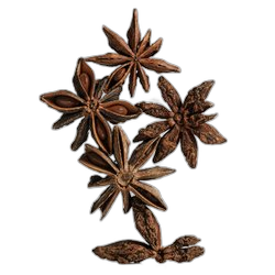Star Anise